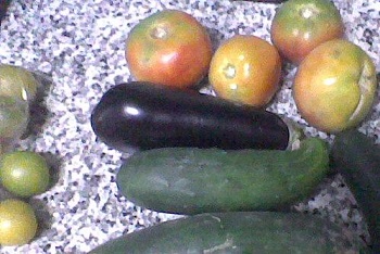 Berenjenas, tomates y otras hortalizas.