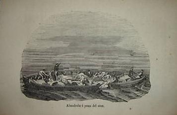 Ilustraciones de pesca. Buffon Historia Natural de los Cetaceos y de los peces