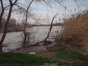 Crecida del Ebro la tarde del día 9-02-03 a su paso por la provincia de Zaragoza