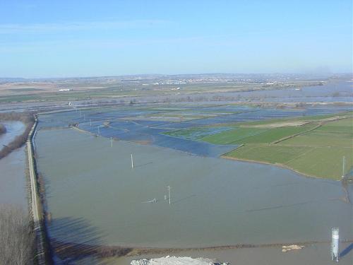Crecida del Ebro el día 10-02-03 entre Zaragoza capital y el mar 233