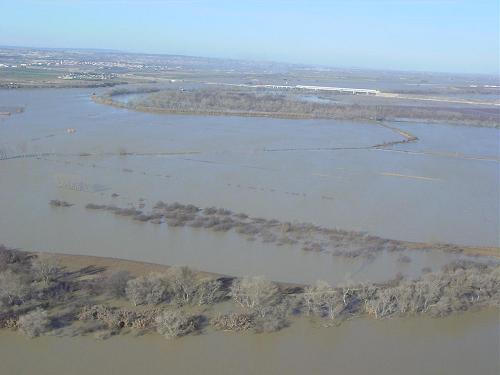 Crecida del Ebro el día 10-02-03 entre Zaragoza capital y el mar 235
