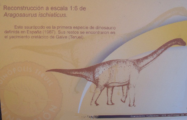 Dinosaurios. Exposición procedente de Dinopolis en Gran Casa de Zaragoza el 30 de junio de 2011. 05