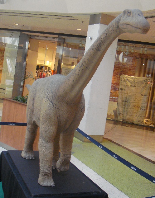 Dinosaurios. Exposición procedentes de Dinopolis en Gran Casa de Zaragoza el 30 de junio de 2011. 07