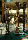 Exposición dinosaurios Dinopolis en Gran Casa de Zaragoza el 30 de junio de 2011