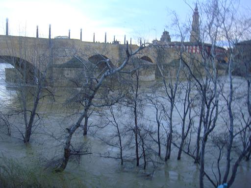 Riada del Ebro el 23 de enero de 2013 a su paso por Zaragoza. 36.