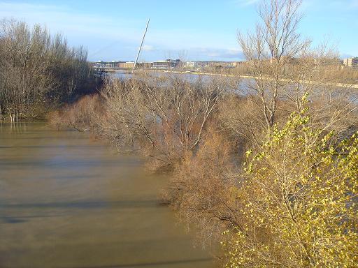 Riada del Ebro el 23 de enero de 2013 a su paso por Zaragoza. 7
