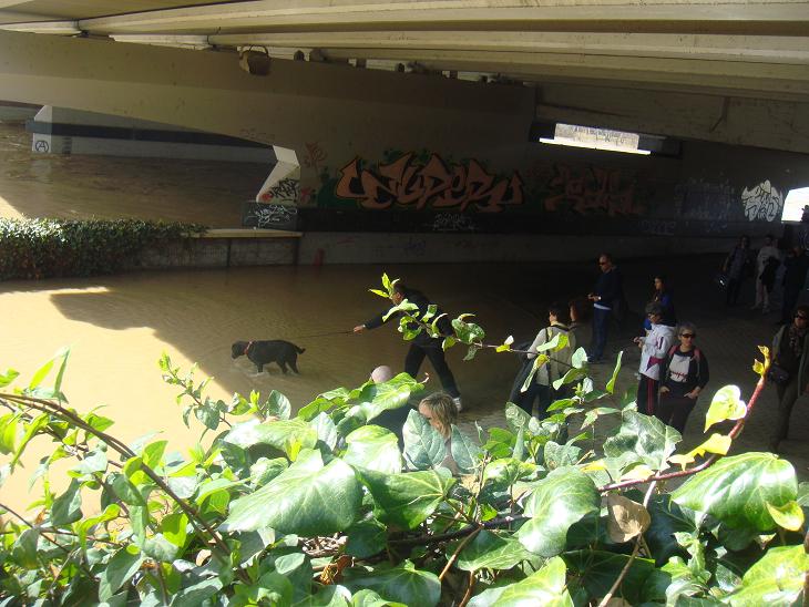 Riada del Ebro el 1 de marzo de 2015 a su paso por Zaragoza. 38