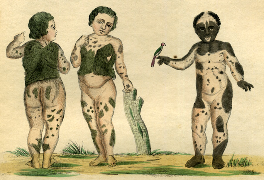 ANIMAUX DE BUFFON. Edition de LACEPEDE. Tirée de l histoire naturel de Buffon. L' HOME b