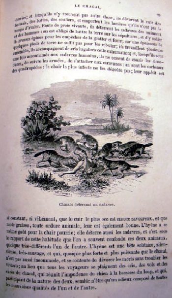 Histoire Naturelle. Estraite Buffon et de Lacepede. Quadrupedes, Oiseaux, Serpent, Poissons et Cetacés. 8