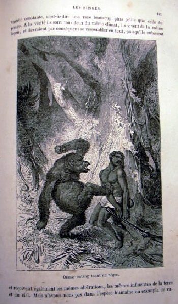 Histoire Naturelle. Estraite Buffon et de Lacepede. Quadrupedes, Oiseaux, Serpent, Poissons et Cetacés. 9