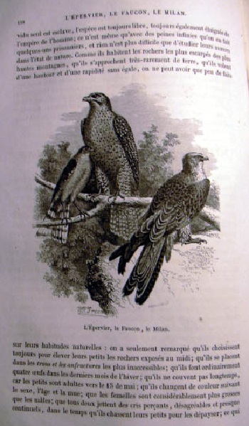 Histoire Naturelle. Estraite Buffon et de Lacepede. Quadrupedes, Oiseaux, Serpent, Poissons et Cetacés. 10