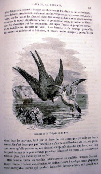 Histoire Naturelle. Estraite Buffon et de Lacepede. Quadrupedes, Oiseaux, Serpent, Poissons et Cetacés. 14