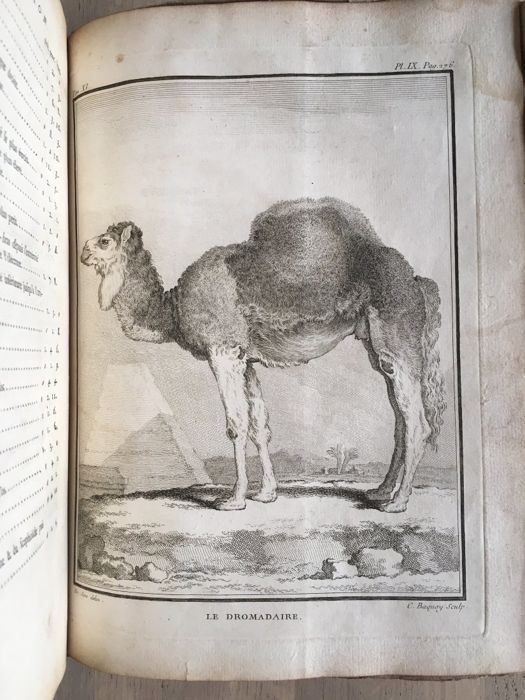 Histoire Naturelle. Générale et Particuliére avec la description du Cabinet du Roi. 11 2