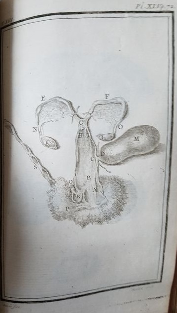 Histoire Naturelle Générale et Particuliére. Treizième 12.