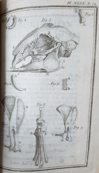 Histoire Naturelle Générale et Particuliére. Treizième 16.
