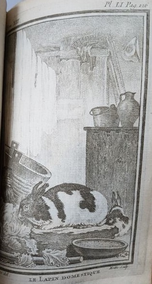 Histoire Naturelle Générale et Particuliére. Treizième 21.