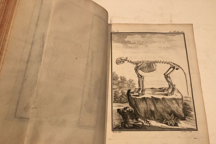 Histoire Naturelle. 1761-Générale et Particuliére avec la description du Cabinet du Roi. 5