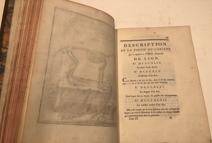 Histoire Naturelle. 1761-Générale et Particuliére avec la description du Cabinet du Roi. 6