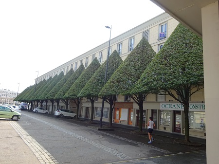 Los arboles moldeados como conos perfectos definen una calle Los arboles moldeados como conos perfectos definen una calle el 6 de septiembre de 2018