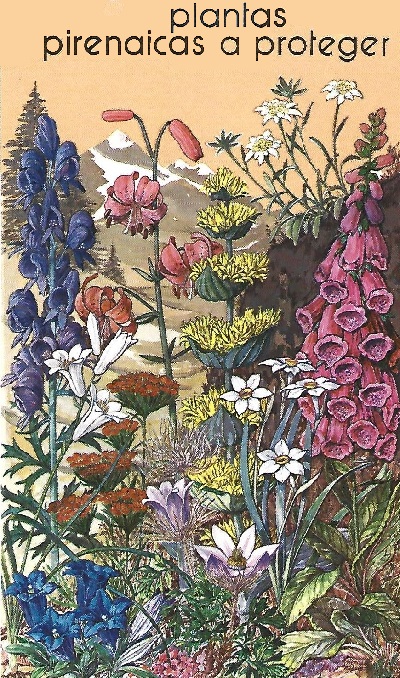 Protección de la Naturaleza. Icona. Ministerio de Agricultura. 1975. 4