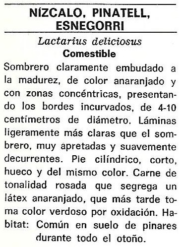 Protección de la Naturaleza. Icona. Ministerio de Agricultura. 1975. 9a