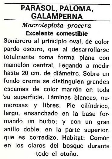 Protección de la Naturaleza. Icona. Ministerio de Agricultura. 1975. 9b