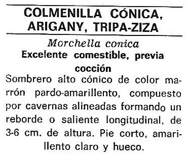 Protección de la Naturaleza. Icona. Ministerio de Agricultura. 1975. 9d