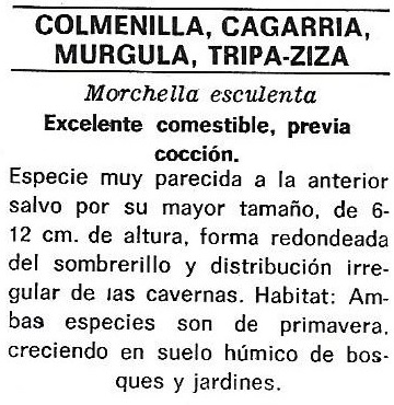 Protección de la Naturaleza. Icona. Ministerio de Agricultura. 1975. 9e