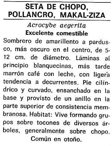 Protección de la Naturaleza. Icona. Ministerio de Agricultura. 1975. 9e
