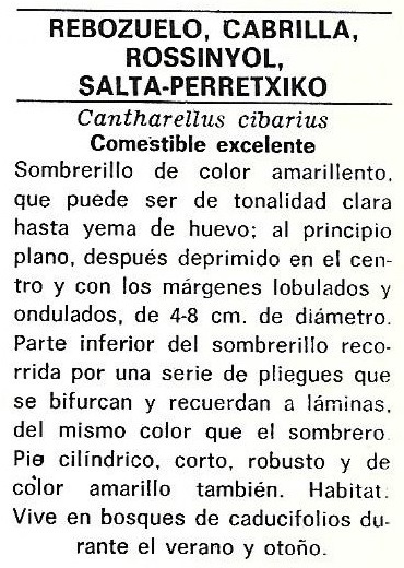Protección de la Naturaleza. Icona. Ministerio de Agricultura. 1975. 9g