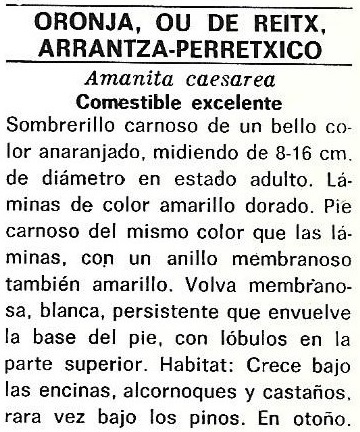 Protección de la Naturaleza. Icona. Ministerio de Agricultura. 1975. 9h