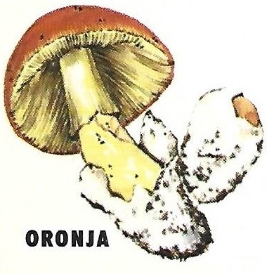 Protección de la Naturaleza. Icona. Ministerio de Agricultura. 1975. 10c