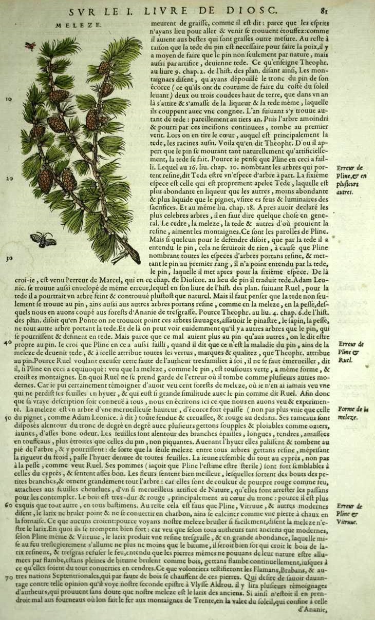 Página extraida de Discursos o comentarios sobre Dioscorides 81 Página extraida de Discursos o comentarios sobre Dioscorides