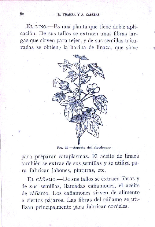 Elementos de Ciencias de la naturaleza. Rafael Ybarra mendez y Angel Cabeta Loshuertos. Página 82.