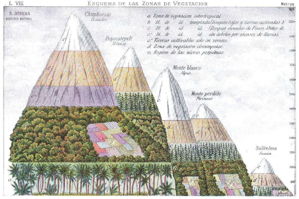 Elementos de Historia Natural por Emilio Ribera Gómez. Lámina 8. Esquema de zonas de vegetación.