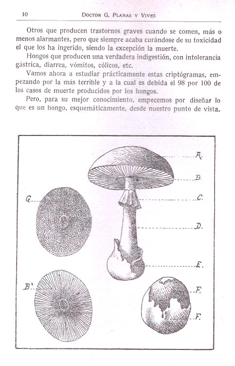 Hongos venenosos, divulgación científica. Página 10.