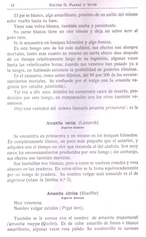 Hongos venenosos, divulgación científica. Página 12.