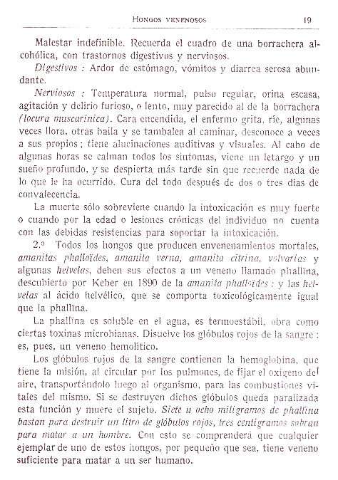 Hongos venenosos, divulgación científica. Página 19.