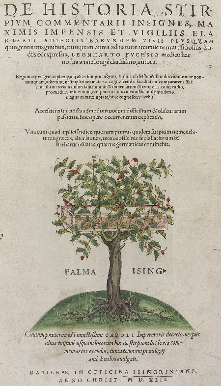 Leonhart Fuchs de Historia Stirpium commentarii insignes