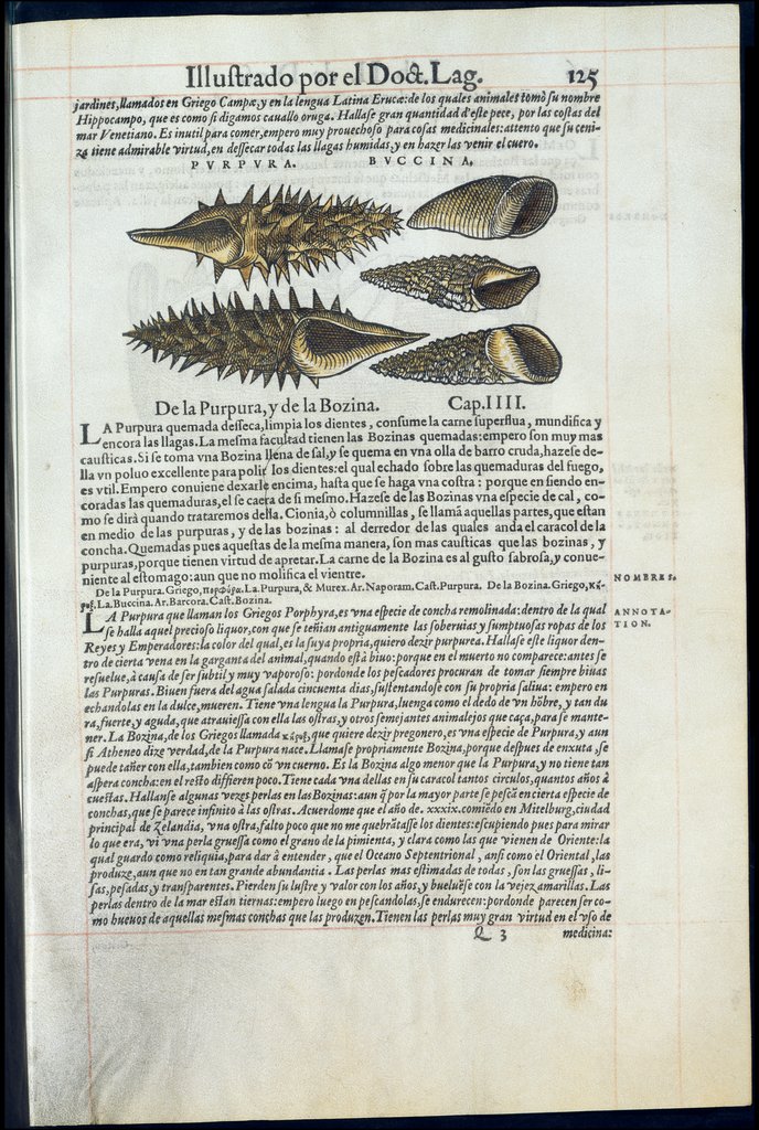 De Materia Medica de Dioscorides. Amberes 1555. Libro II. 125