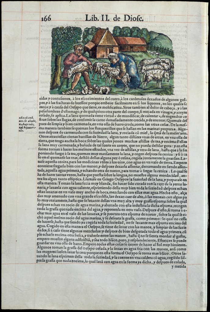 De Materia Medica de Dioscorides. Amberes 1555. Libro II. 166
