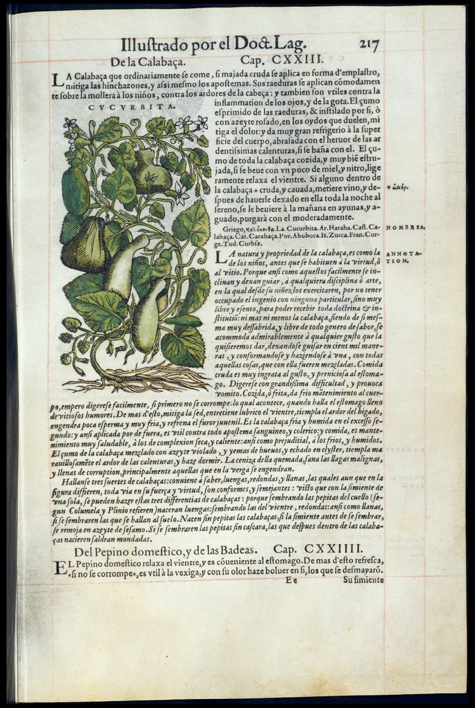 De Materia Medica de Dioscorides. Amberes 1555. Libro II. 217