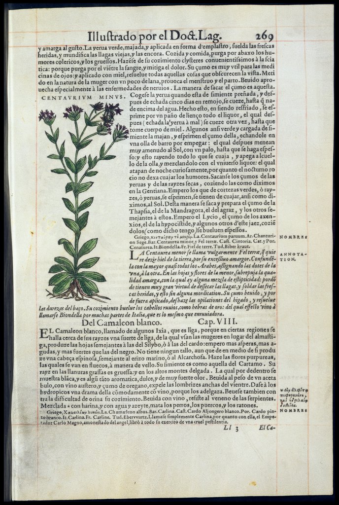 De Materia Medica de Dioscorides. Amberes 1555. Libro II. 269