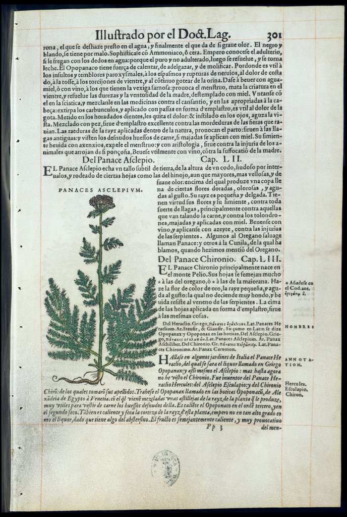 De Materia Medica de Dioscorides. Amberes 1555. Libro III. 301