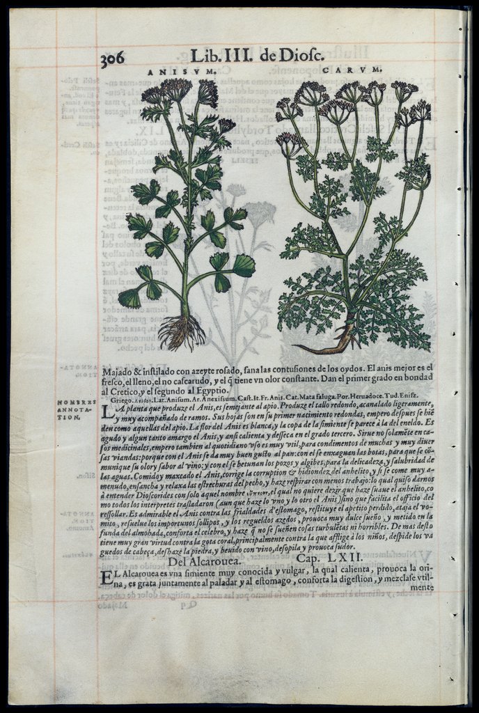 De Materia Medica de Dioscorides. Amberes 1555. Libro III. 306