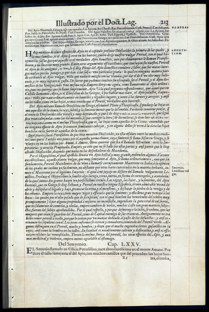 De Materia Medica de Dioscorides. Amberes 1555. Libro III. 313