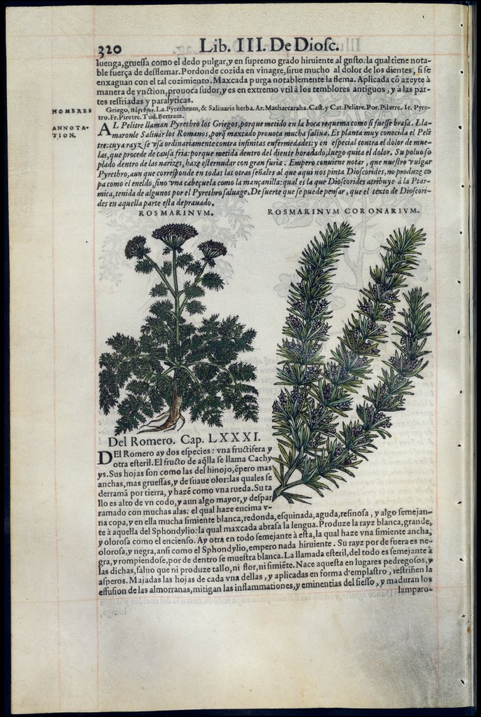De Materia Medica de Dioscorides. Amberes 1555. Libro III. 320