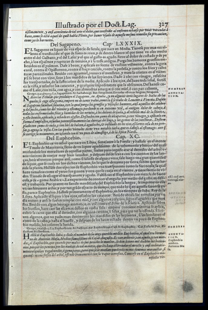 De Materia Medica de Dioscorides. Amberes 1555. Libro III. 327