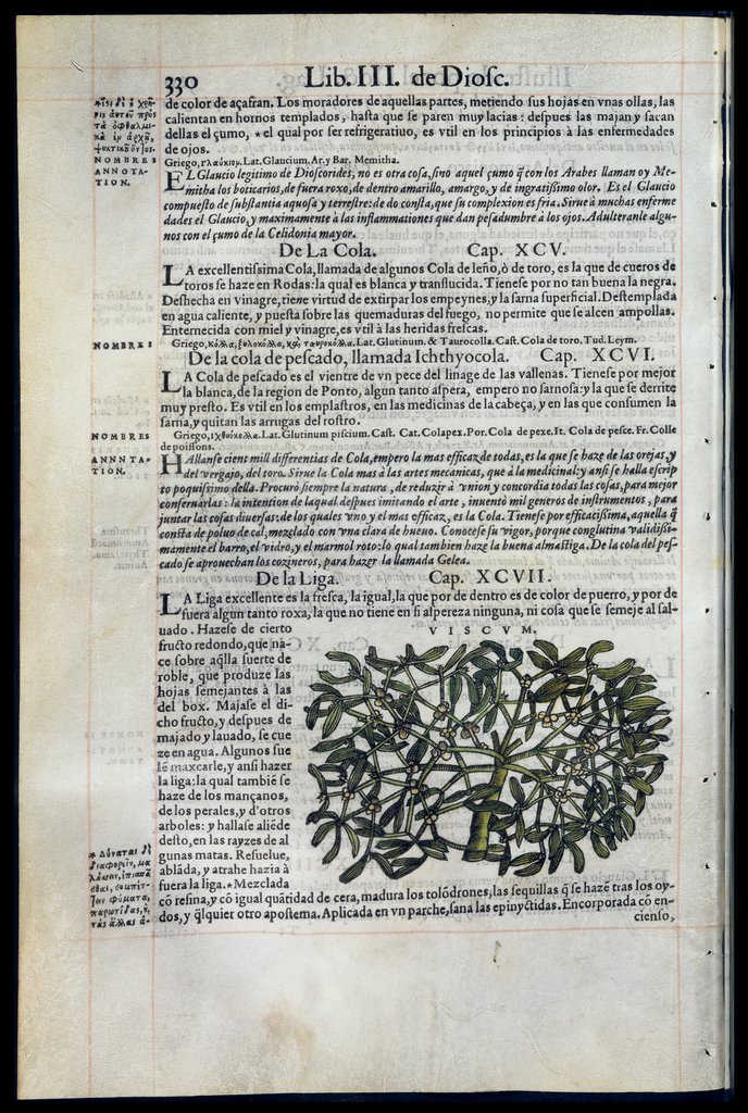 De Materia Medica de Dioscorides. Amberes 1555. Libro III. 330
