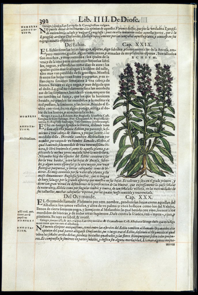 De Materia Medica de Dioscorides. Amberes 1555. Libro IIII. 392